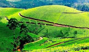 munnar.jpg